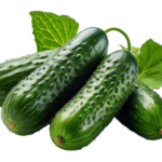 Uhorka