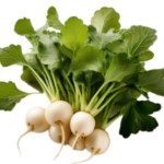 Vodnica